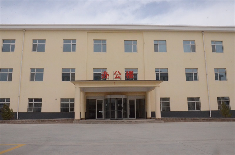 左旋肉碱减肥真有用吗安全吗,左旋肉碱减肥效果与安全性全面解析